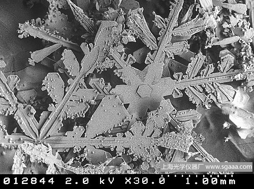 �@΢�R�µ�ѩ��