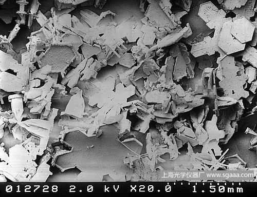 �@΢�R�µ�ѩ��