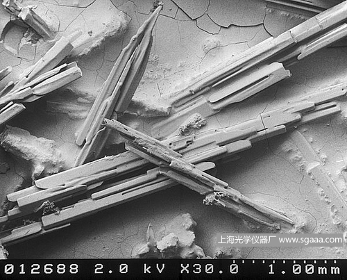 �@΢�R�µ�ѩ��