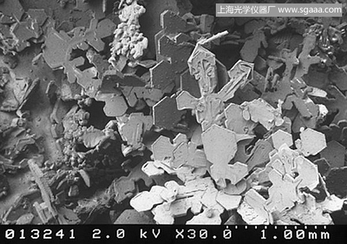 �@΢�R�µ�ѩ��