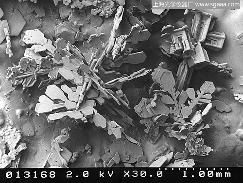 �@΢�R�µ�ѩ��