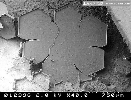 �@΢�R�µ�ѩ��