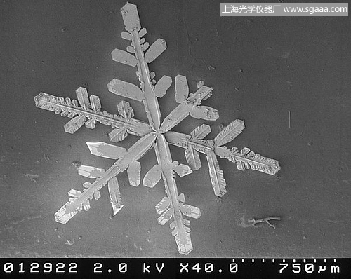 �@΢�R�µ�ѩ��