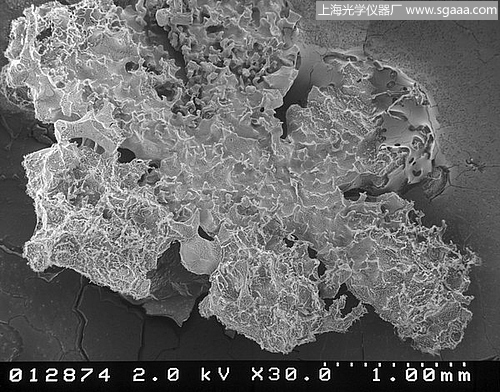 �@΢�R�µ�ѩ��