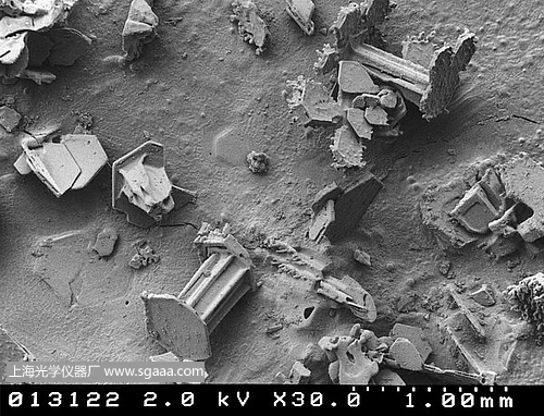 �@΢�R�µ�ѩ��