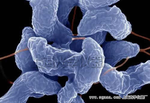 �@΢�R�������ټ�(x��)������һ