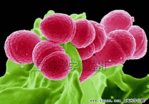 �@΢�R������������(x��)�����u�r��΢��(x��)��֮��(zh��n)