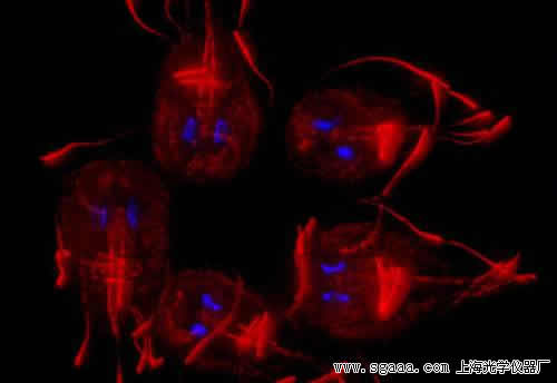 �@΢�R���[����ˮ����{(l��n)���Z���x