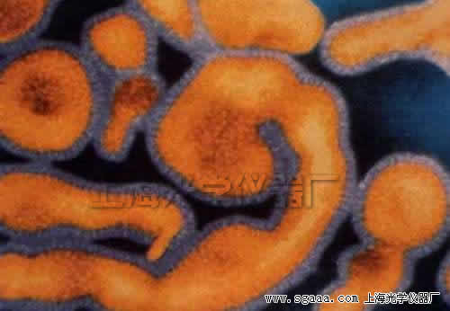 �@΢�R�°���������