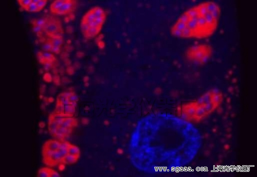 �@΢�R�µľ��x����