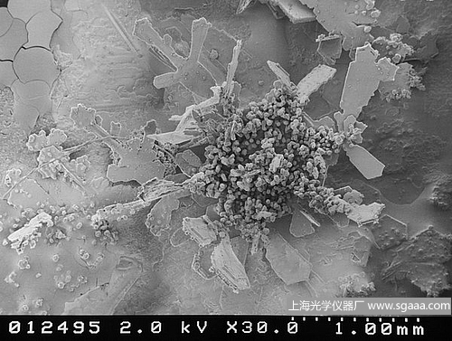 �@΢�R�µ�ѩ��