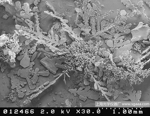 �@΢�R�µ�ѩ��