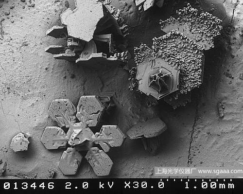 �@΢�R�µ�ѩ��