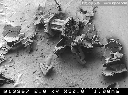 �@΢�R�µ�ѩ��