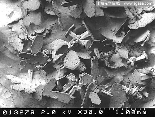 �@΢�R�µ�ѩ��