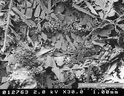 �@΢�R�µ�ѩ��