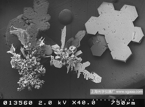 �@΢�R�µ�ѩ��