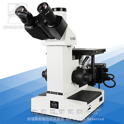 ���ý����@΢�R