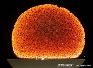 顯微鏡下的碳納米管