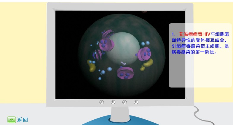 �@΢�R�^�y���̲���