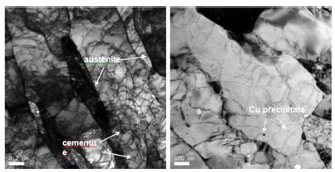金相顯微鏡分析