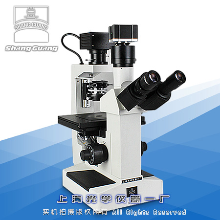 ���������@΢�R37XB