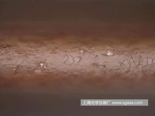 �@΢�R�¿����C��Ⱦ��p�����^�l