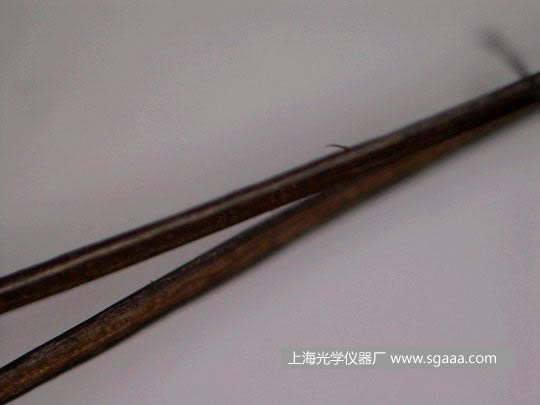 �@΢�R�¿����C��Ⱦ��p�����^�l