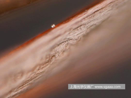 �@΢�R�¿����C��Ⱦ��p�����^�l