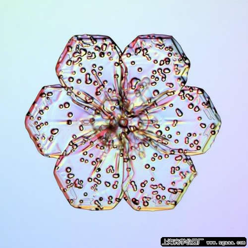 �@΢�R�µ�ѩ����10